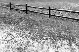 Fence In First Snow_10286